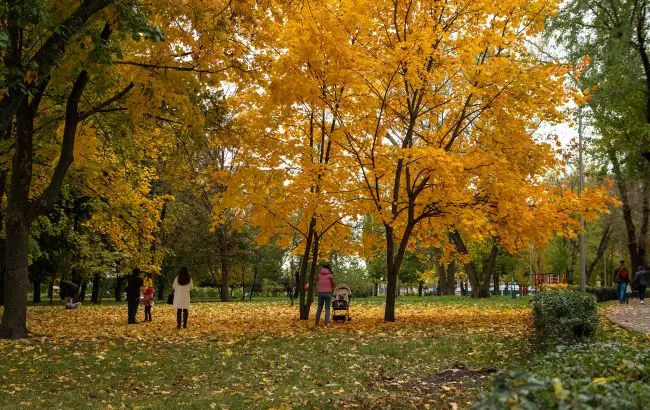 В Україну повертається тепло - прогноз погоди на 30 жовтня від Наталки Діденко