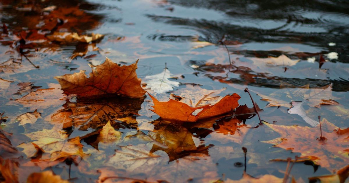 Сьогодні в Україні прогнозують відносно теплу погоду, але з опадами — навіть можливий сніг