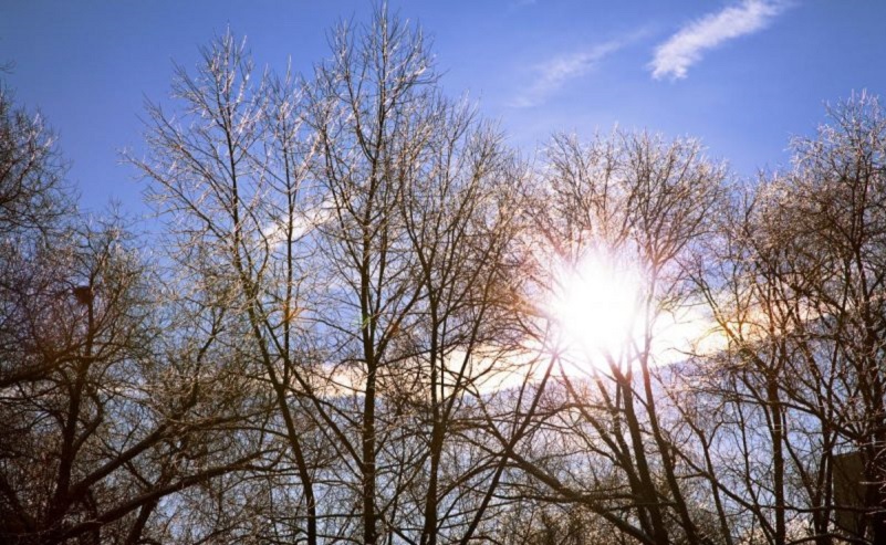 Синоптикиня Наталки Діденко розказала, де 18 грудня буде найтепліше