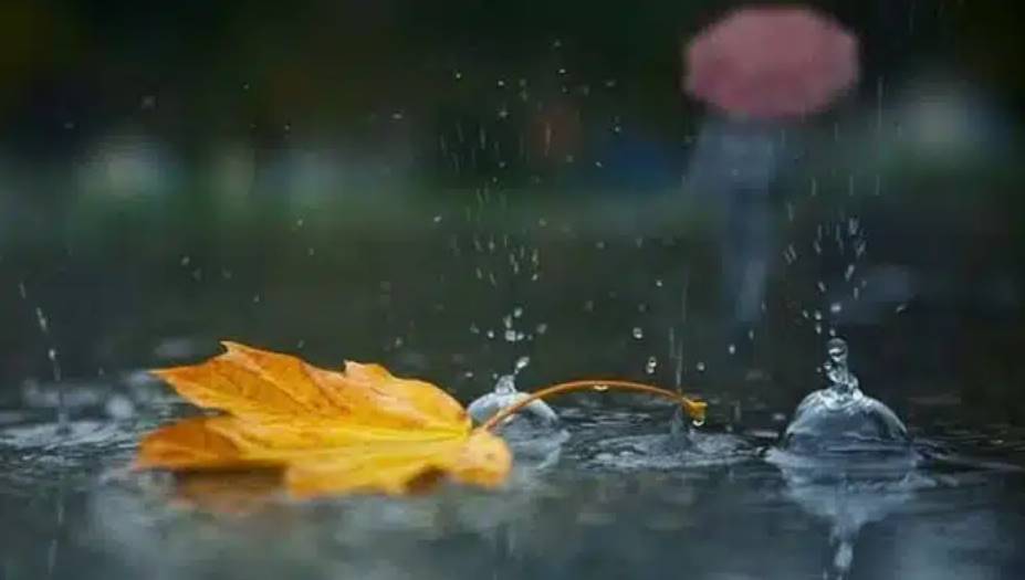 Якою буде погода в Україні 12 листопада