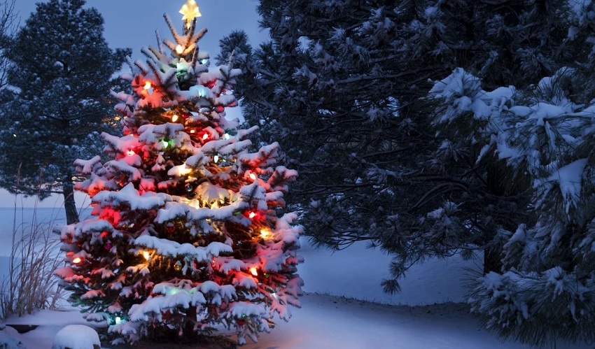 В новорічну ніч всю Україну скують люті морози