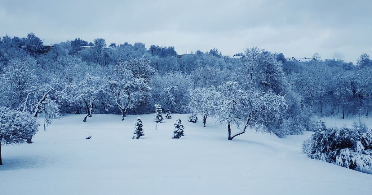 Морози до -24° і ожеледиця до весни: прогноз погоди на 12 січня та наступні дні
