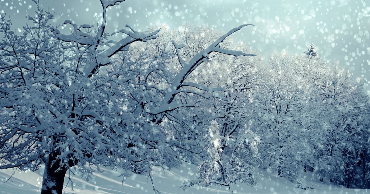 В Україну після відлиги повернуться нічні морози до - 20°C